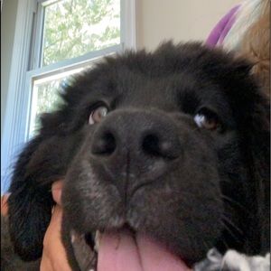 Meet your Posher, Emma